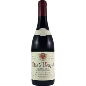 Alain Hudelot-Noellat Clos de Vougeot Grand Cru 2021