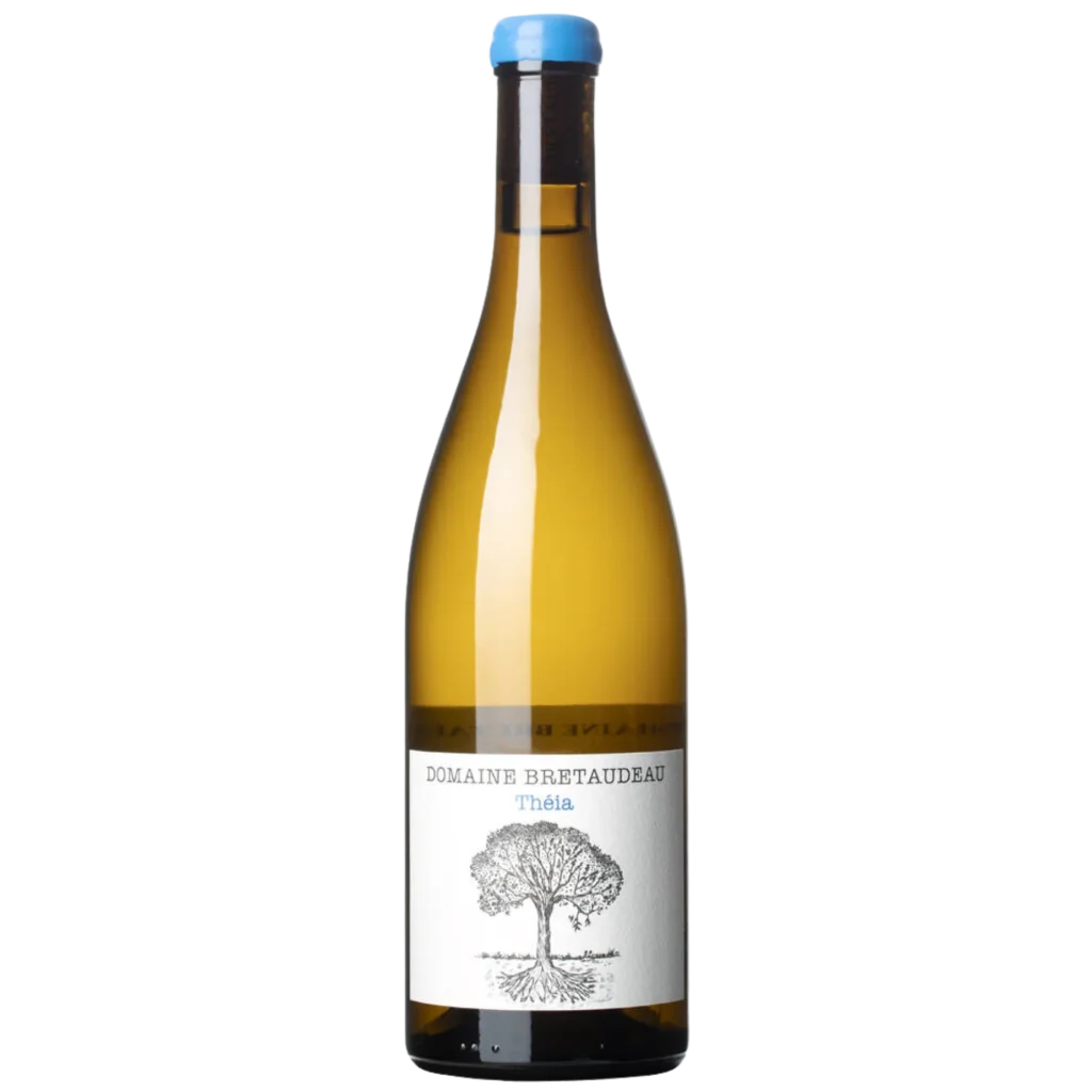 Jérôme Bretaudeau - Muscadet “Theia” 2024