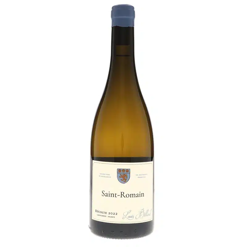 Louis Billard Saint Romain 2023