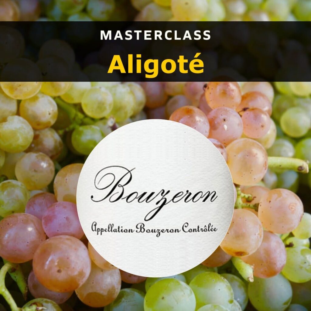 Masterclass:  Aligoté (aligotasting) 12-06-2025