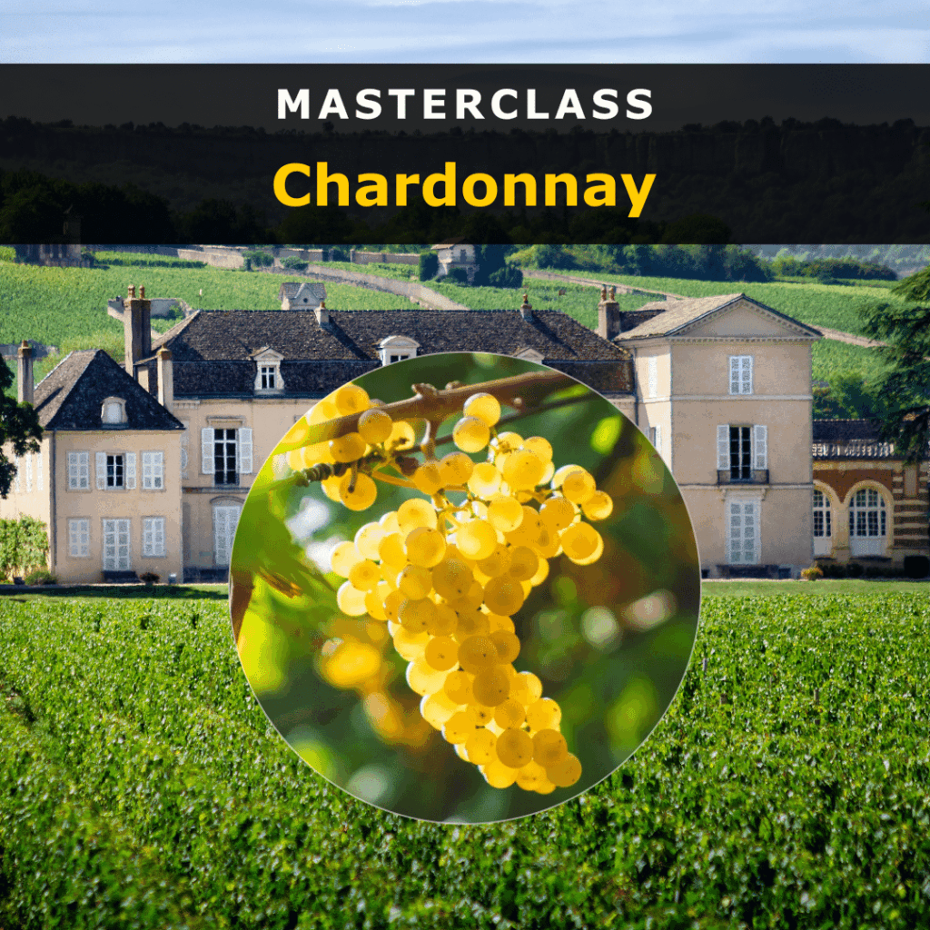 Masterclass:  Chardonnay (27-03-2026)