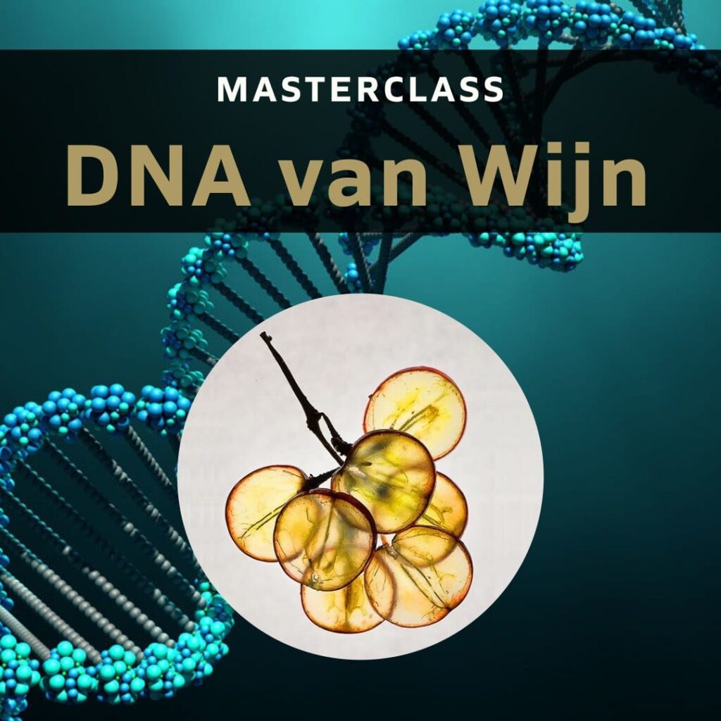 Masterclass:  DNA van wijn 24-05-2024