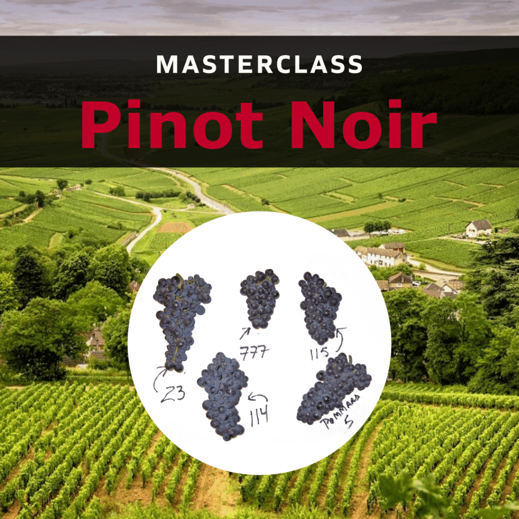 Masterclass: Pinot Noir 12-03-2027
