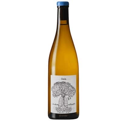 6 x Jérôme Bretaudeau - Muscadet 'Gaïa' 2021 6 bottles incl shipping