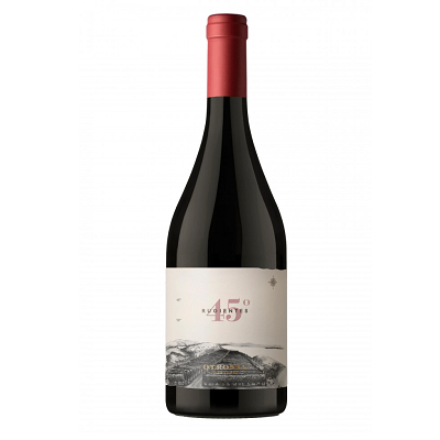 Bodega Ortronia - Pinot Noir Organic '45 Rugientes'
