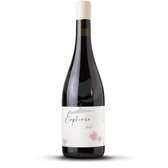 Jérémy Carteret – Euphoria Rouge 2024