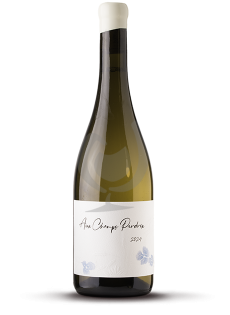 Jérémy Carteret – HCDN Blanc “Aux Champs Perdrix” 2024