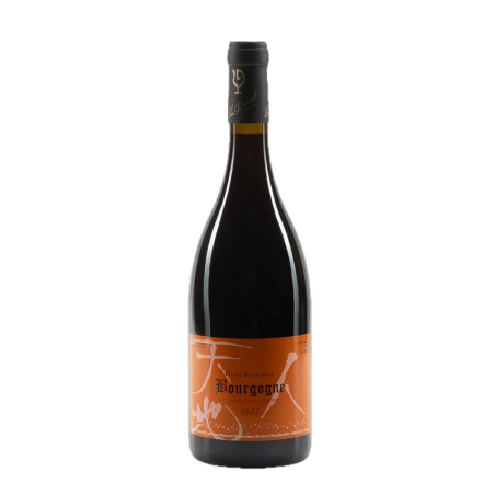 Lou Dumont Bourgogne Rouge 2022