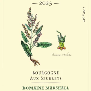 Jean Marshall Bourgogne blanc 2023