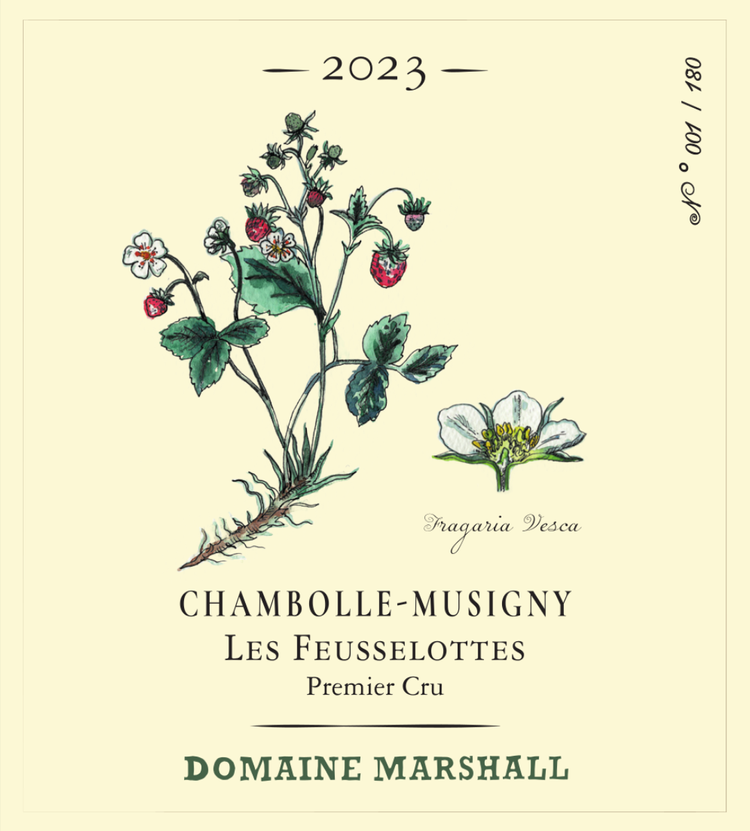 Jean Marshall Chambolle-Musigny 1er Cru Les Feusselottes 2023