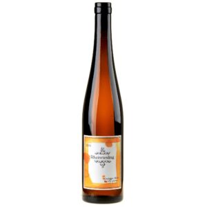 Kissinger-Bähr – Rheinriesling 2024
