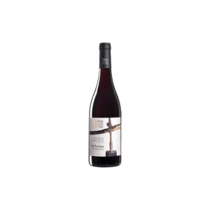 Terra Costantino DeAetna Etna Rosso DOC